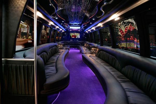 15-passenger-party-bus rental company